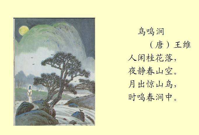 青海天峻：藏狐现身雪后祁连山国家公园
